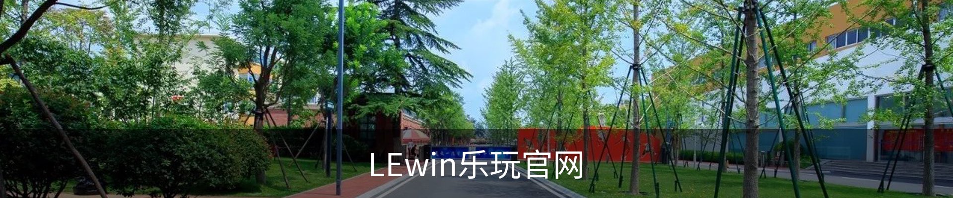 lewin乐玩·(中国)官方网站
